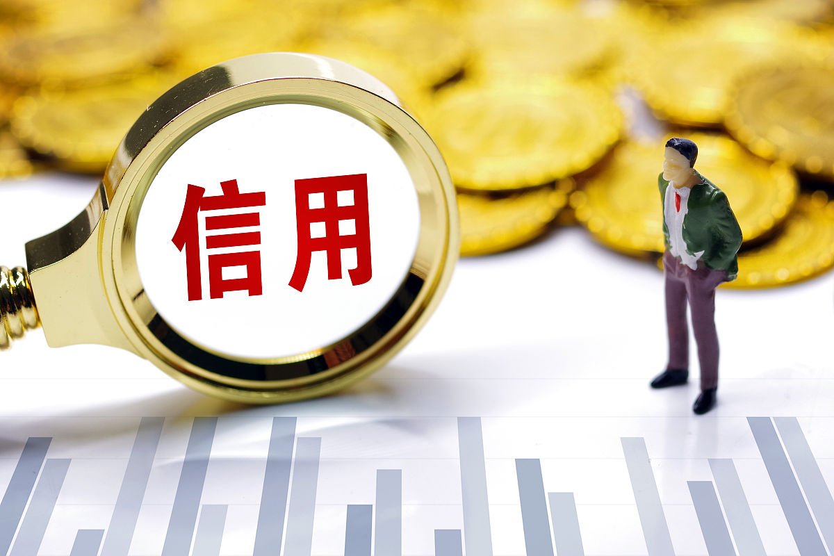 个人信用风险：商业银行面临的重大挑战