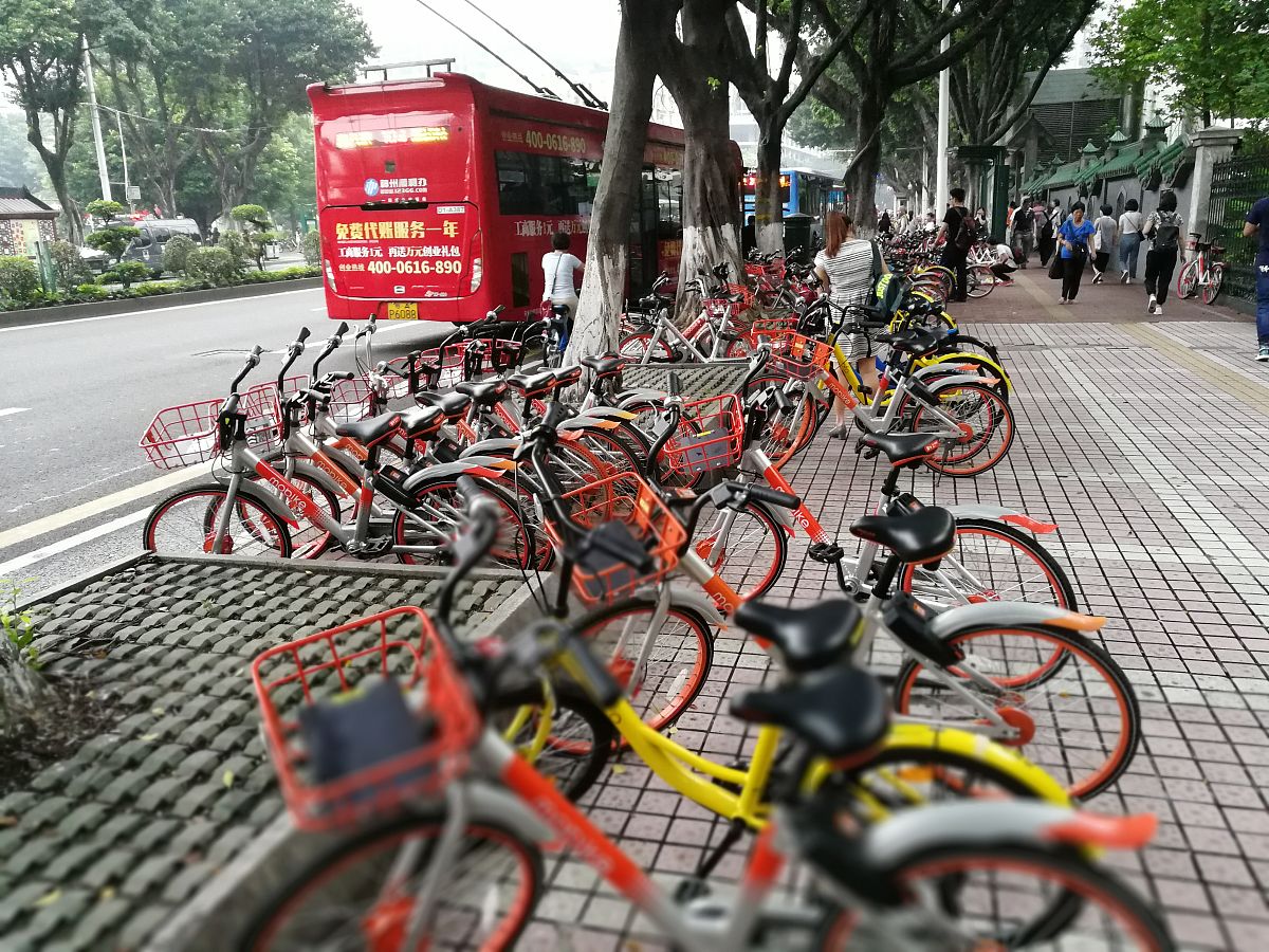 共享单车发展规律与管理乱象：城市治理的反思