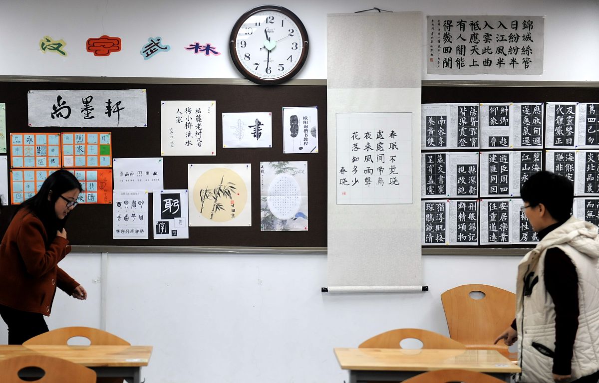 大学选课系统学生选课功能指南