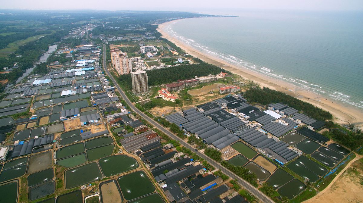 文昌冯家湾产业园：海南省文昌市重点打造的产业集群
