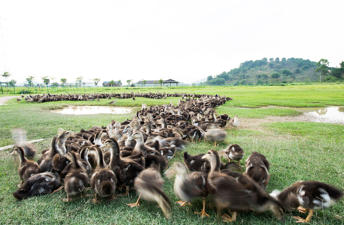 贵港市卫生学校2023年招生专业：临床医学、口腔医学、护理学