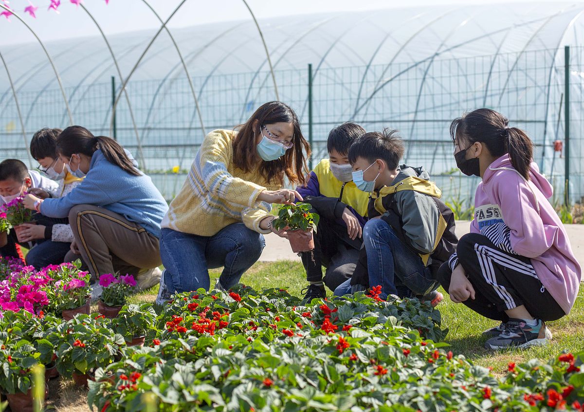 科技小院的学生写一篇日志由于昨日脚崴到了今天没有和其他同学一起走访调研。早上用装了甜食的瓶子诱捕苍蝇用来喂自己养的跳蛛然后吃早餐的时候遇见了任学姐与学姐攀谈许久讲述自己对农民艰苦生活的感慨他们大多只有两三亩地一年只能赚到六千元感到自己解民生的重担很沉。当走到垃圾场的时候看见自己诱捕苍蝇的瓶子已经被收垃圾的阿姨捡走了看来小跳蛛又要被饿两天了。