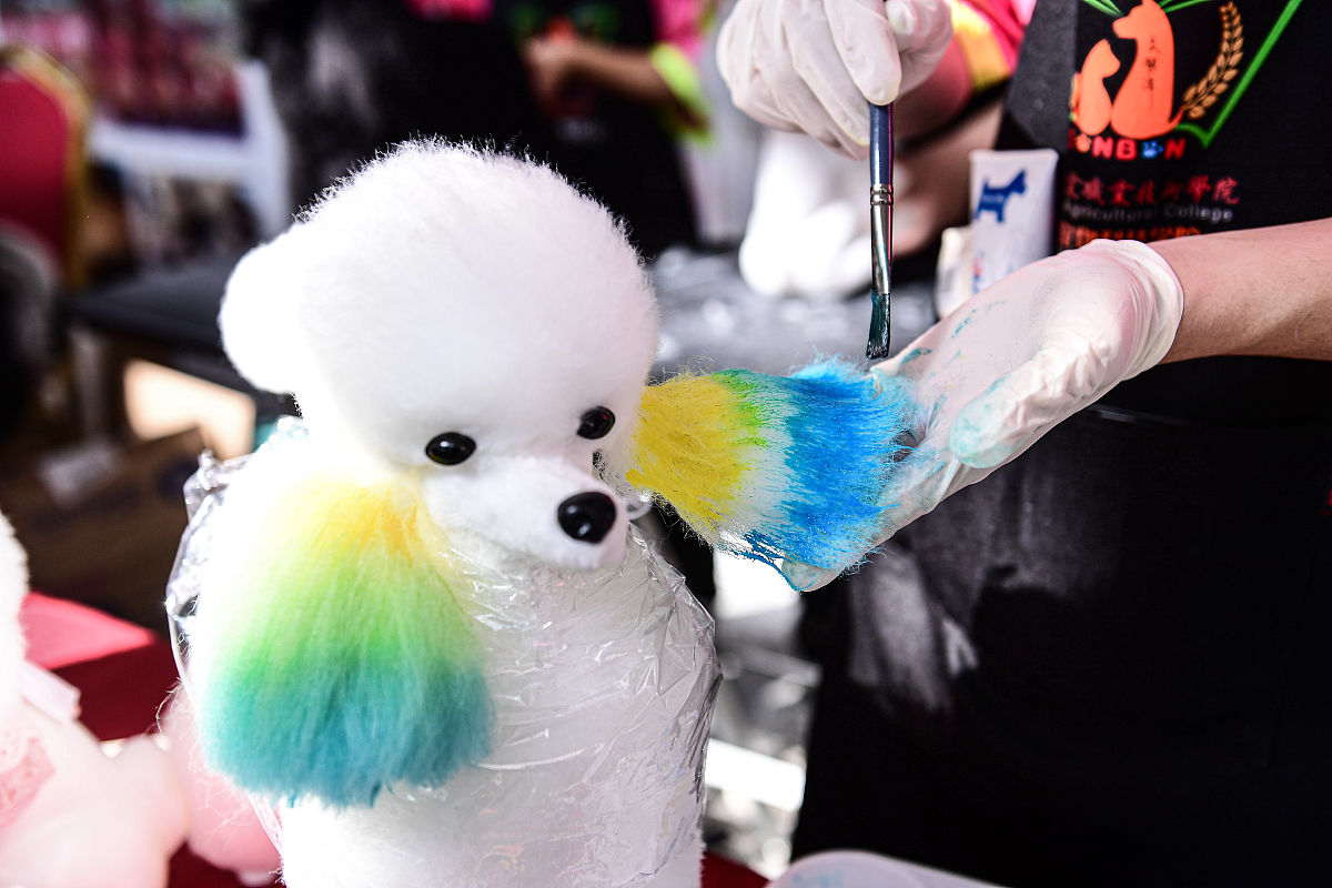 辽宁省交通高等专科学校单招药剂专业怎样