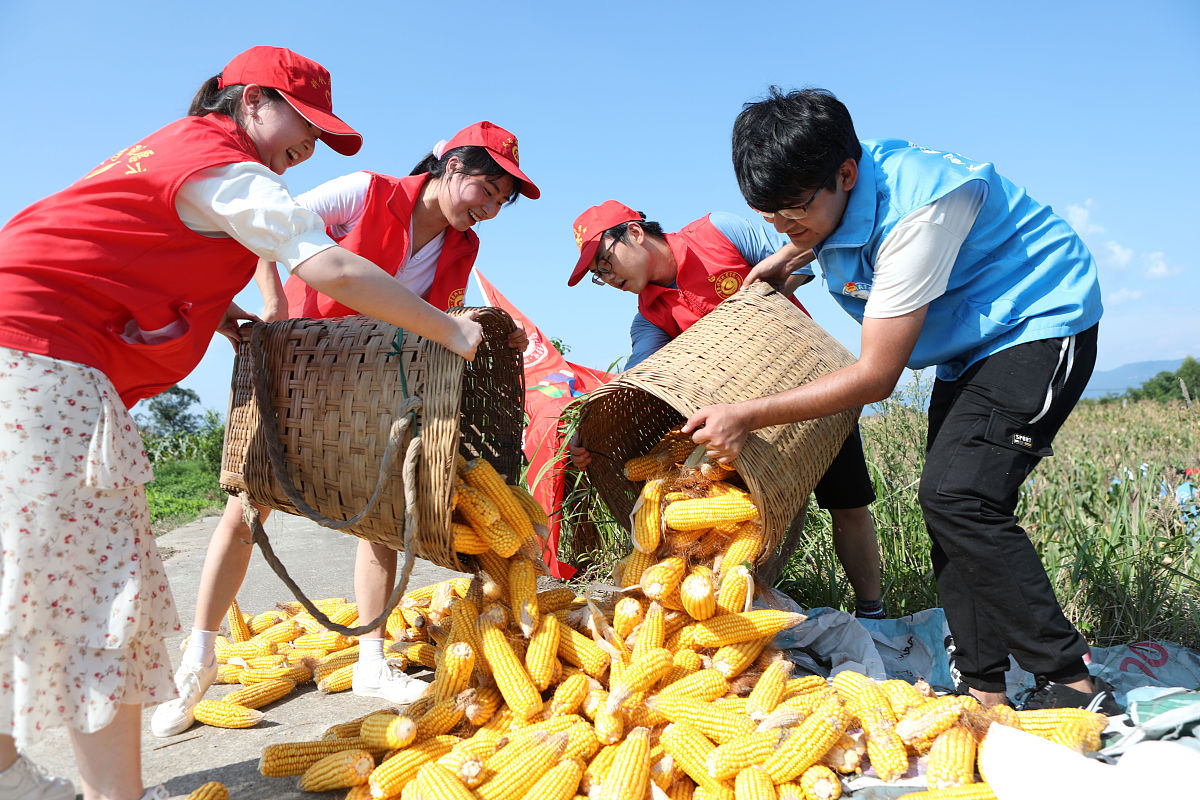 在对学生进行劳动教育过程中提出美的劳动让教师引导学生发现劳动的美这种美的劳动包括人物的、人情的、事物的、事理的、环境的、场境的请从以上几方面阐释各自美在何处？