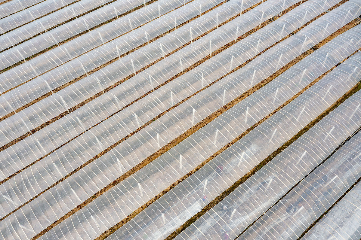 四川幼师学院儿童康复专业就业方向