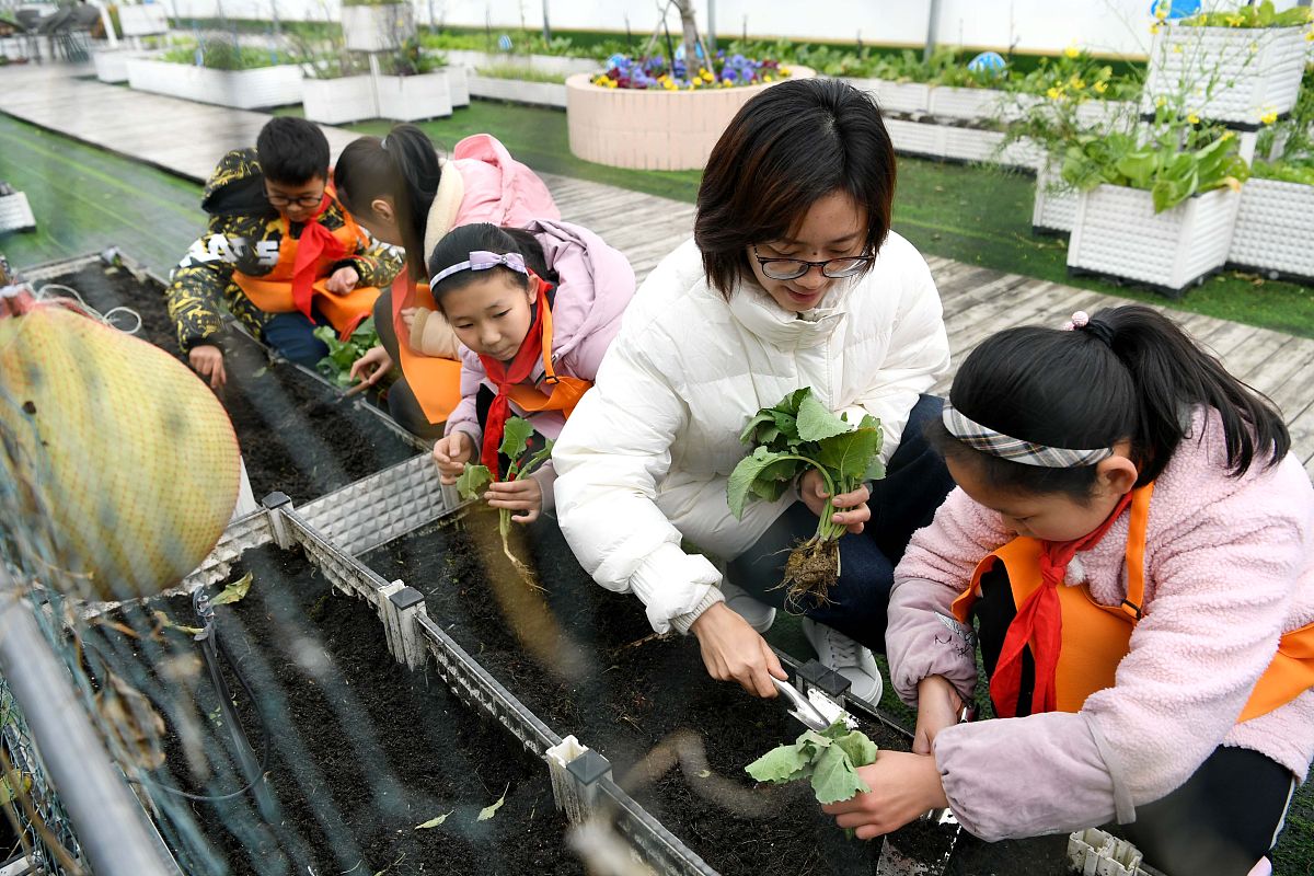2020年12月3日,在合肥市瑶海区临泉路第二小学的"空中农场",小学生们