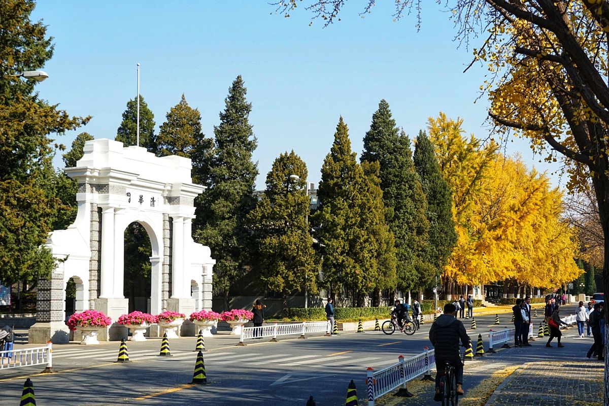 2020年11月4日,北京,清华大学校园秋色正浓.
