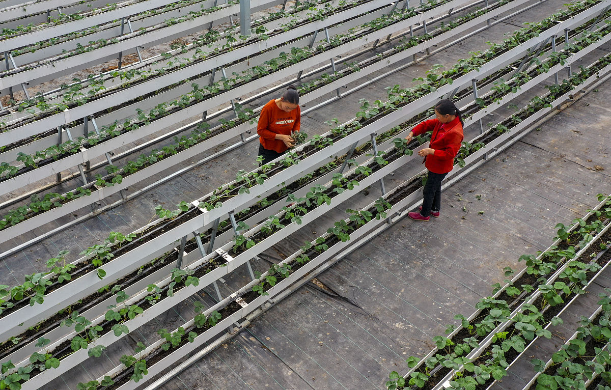 重庆农业学校设施农业技术怎么样招生对象是啥