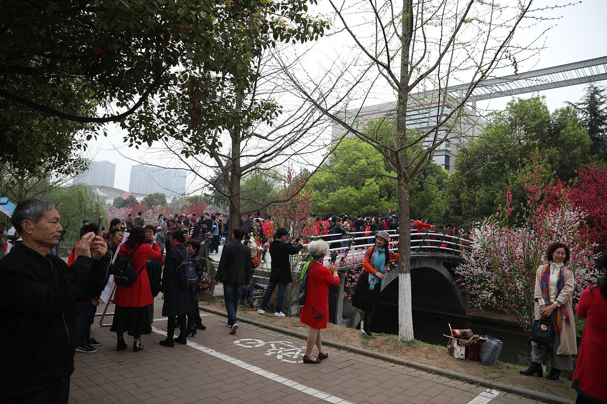 重庆三峡联合职业大学升学情况分析：就业前景、教育质量与个人提升