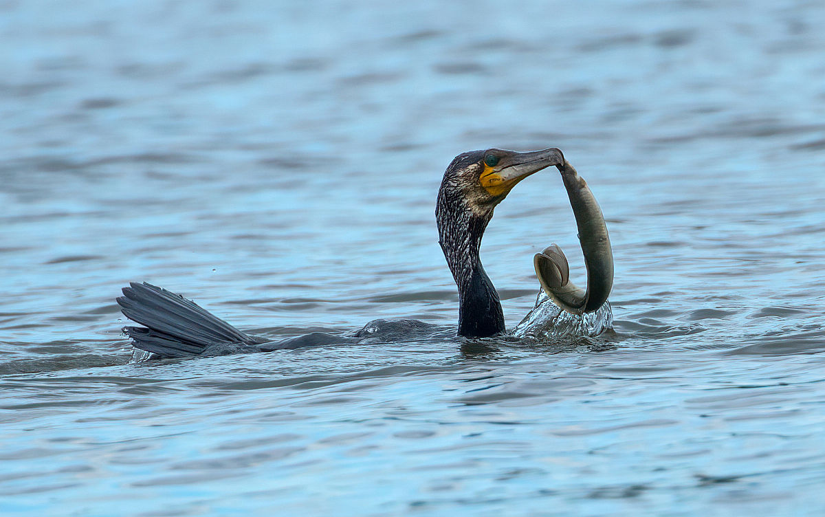 兰州成伤机制鉴定机构：权威鉴定，助力司法公正