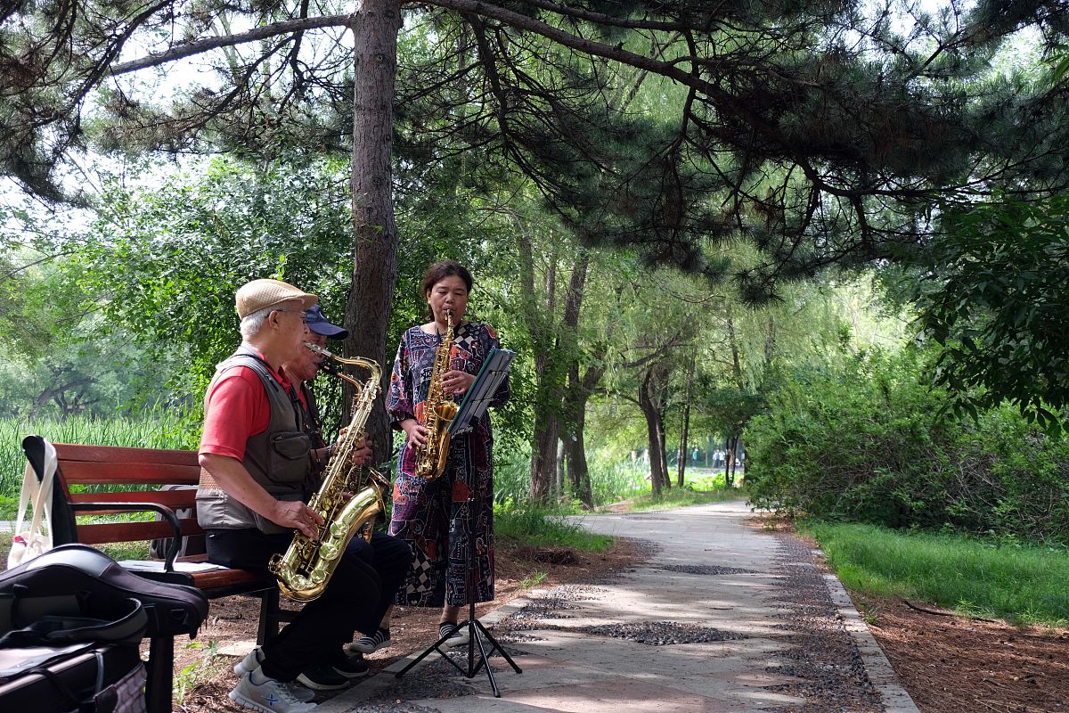 扮演一名音乐博主写篇1000字公园里有很多大爷演奏乐器但是超八成都在吹萨克斯为什么？的文章要有和读者互动语句重新编写个标题
