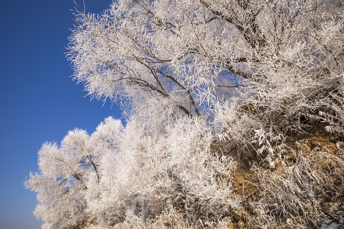 吉林求助热线电话是多少？24小时为您提供帮助