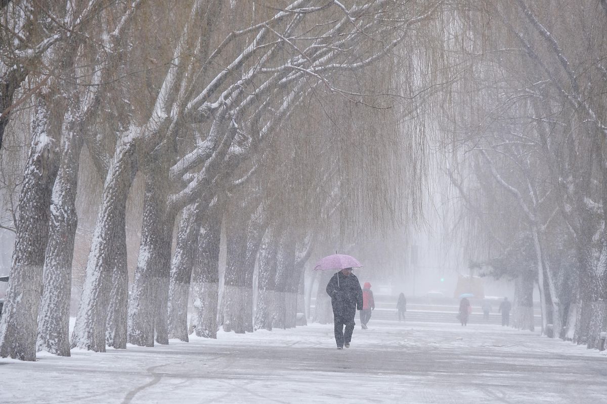 2023年春天会不会冷