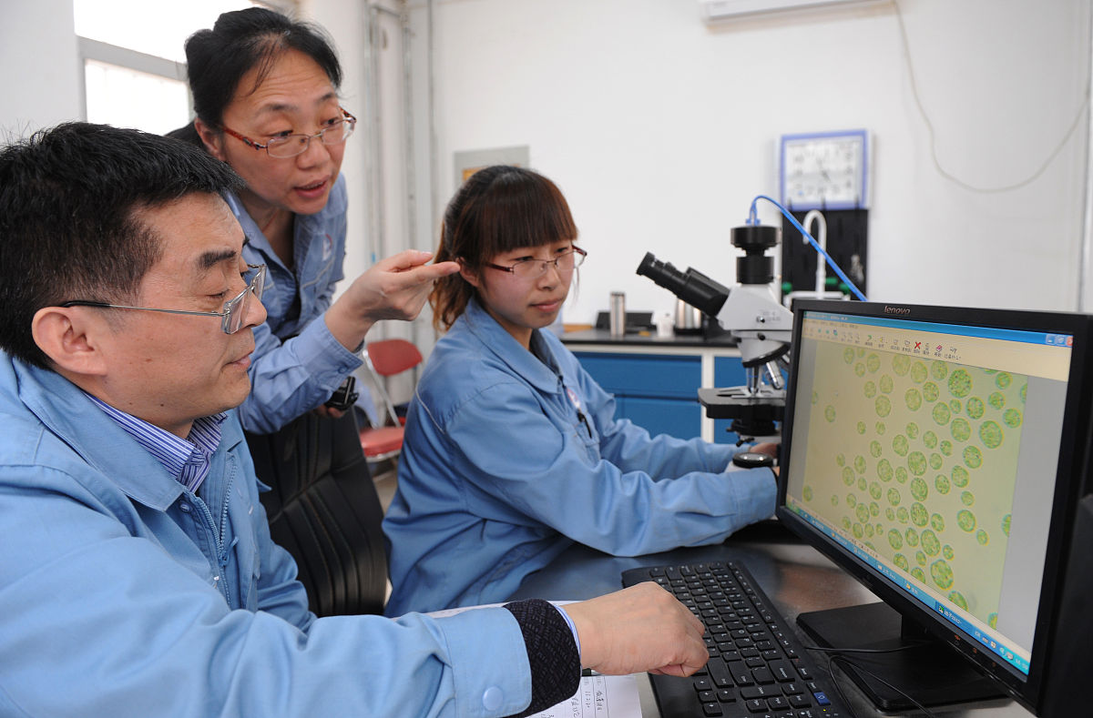 煤质分析技术专科课程有哪些？