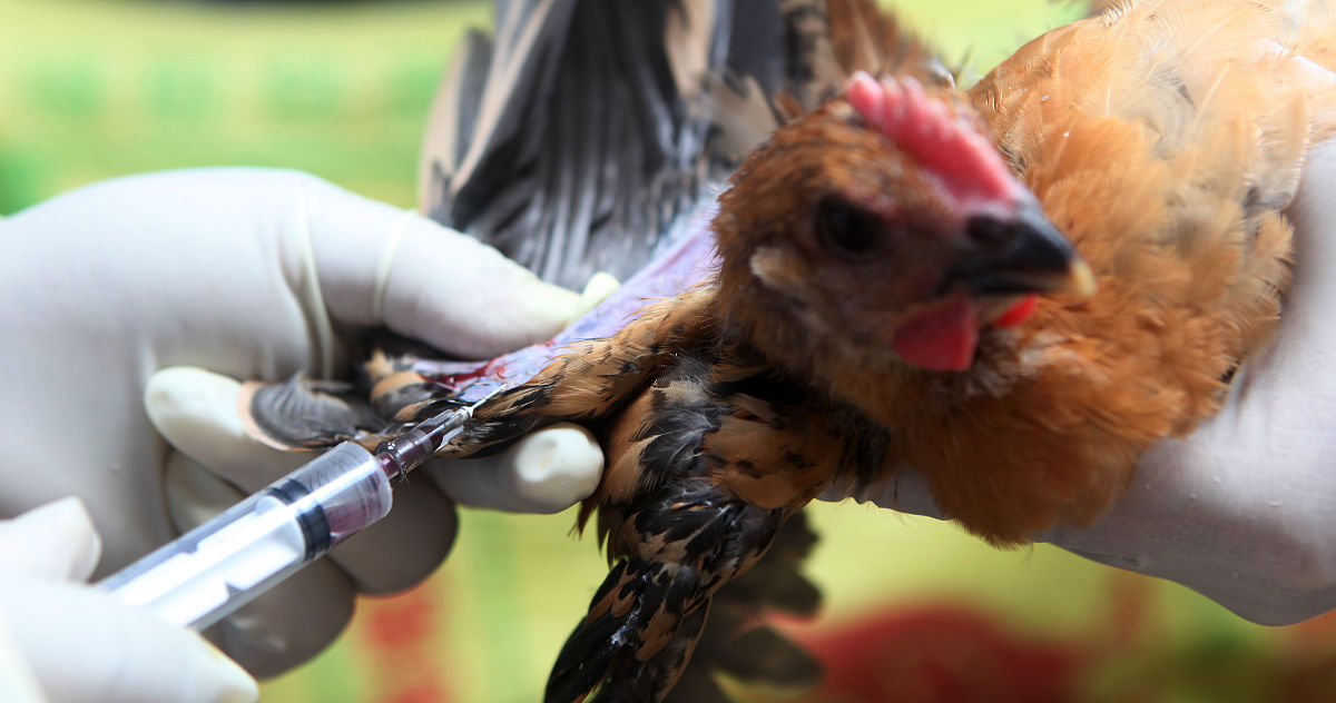 云南畜牧兽医学校2019年五年制招生地址 - 昆明市盘龙区金马路100号