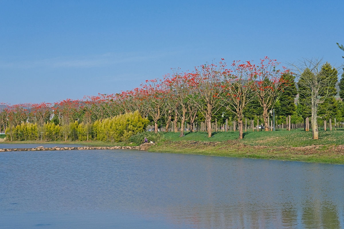 红河州财经学校2022年招生简章