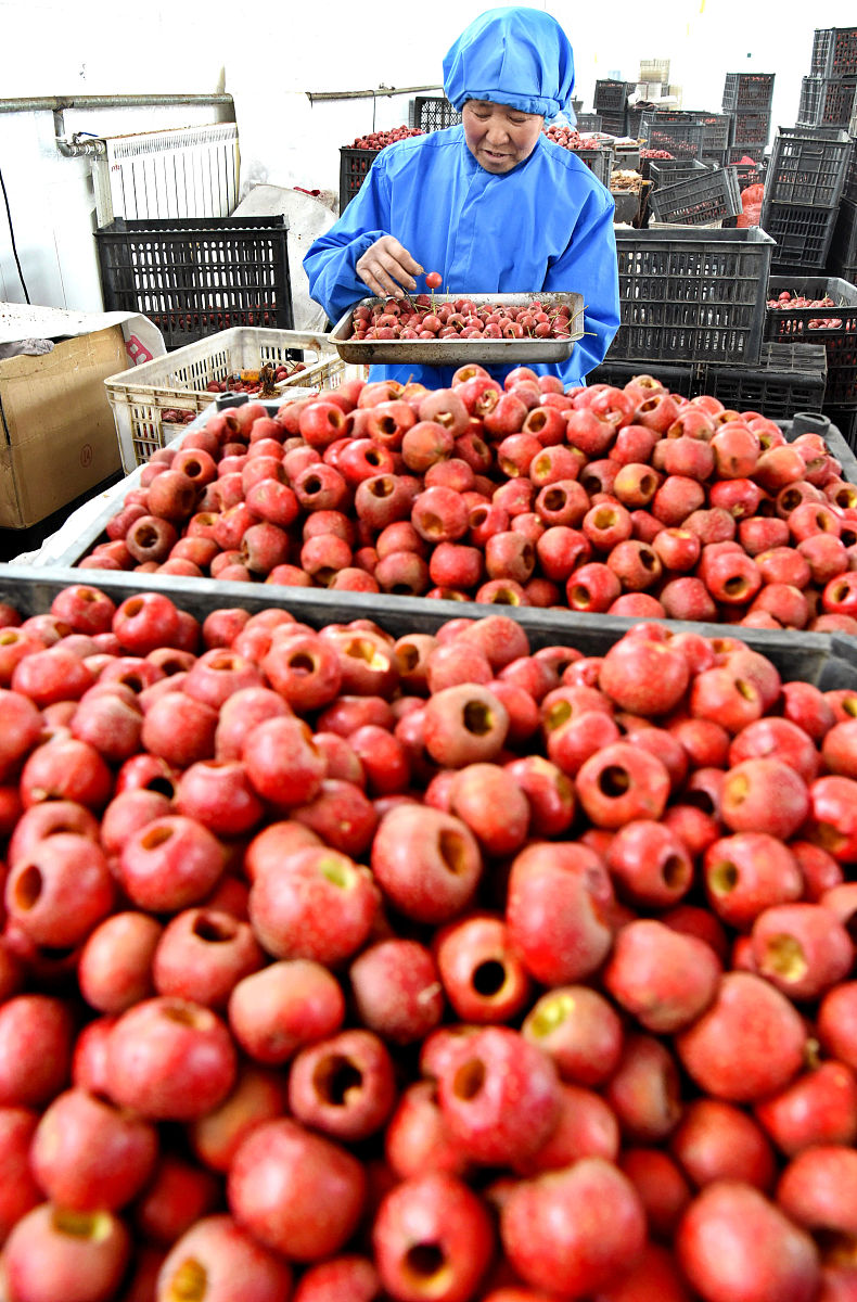 阐述烟台苹果全产业链发展