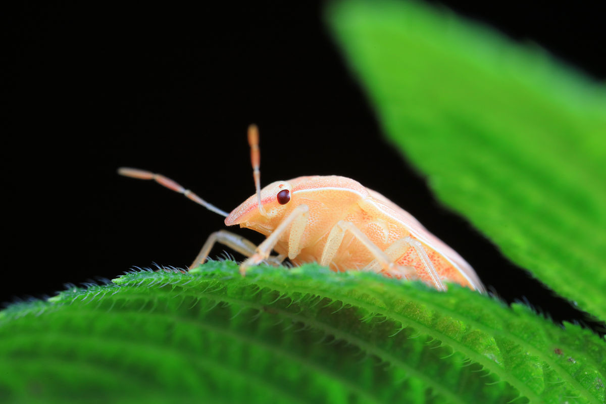 唐山初中毕业生适合上中专吗？ - 详细分析及建议