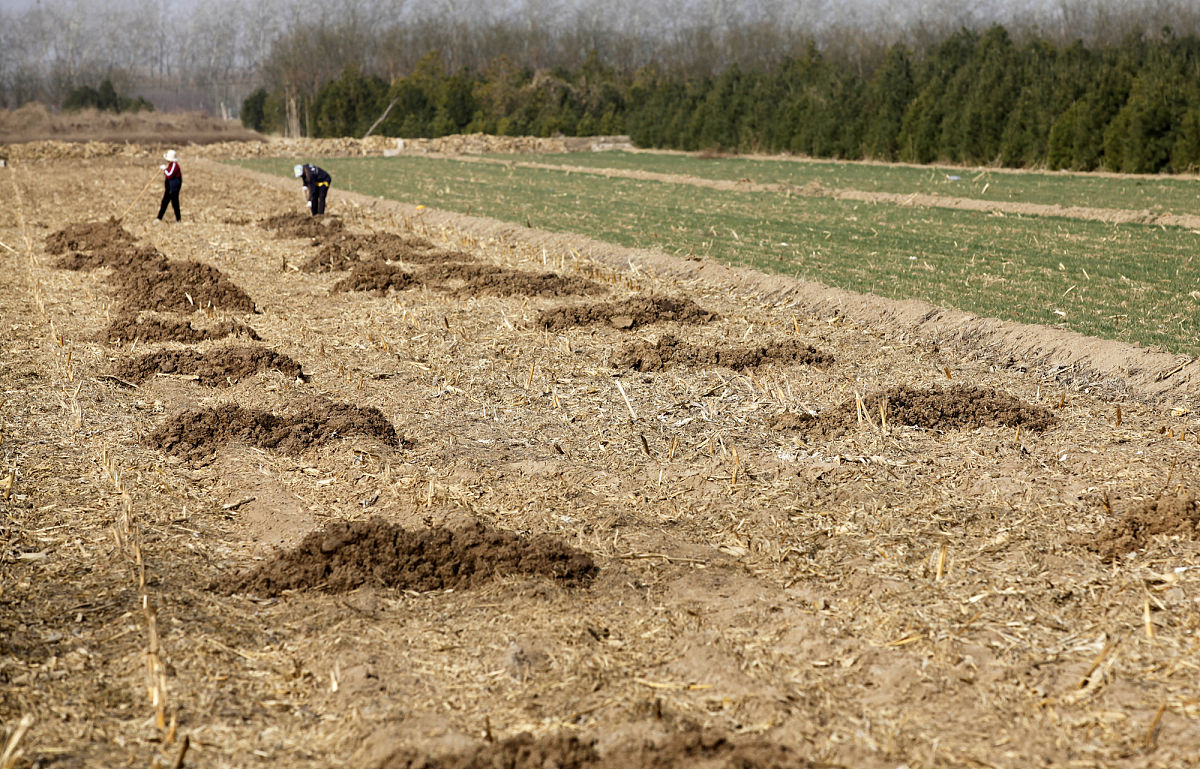 临汾第二技校2022年招生简章