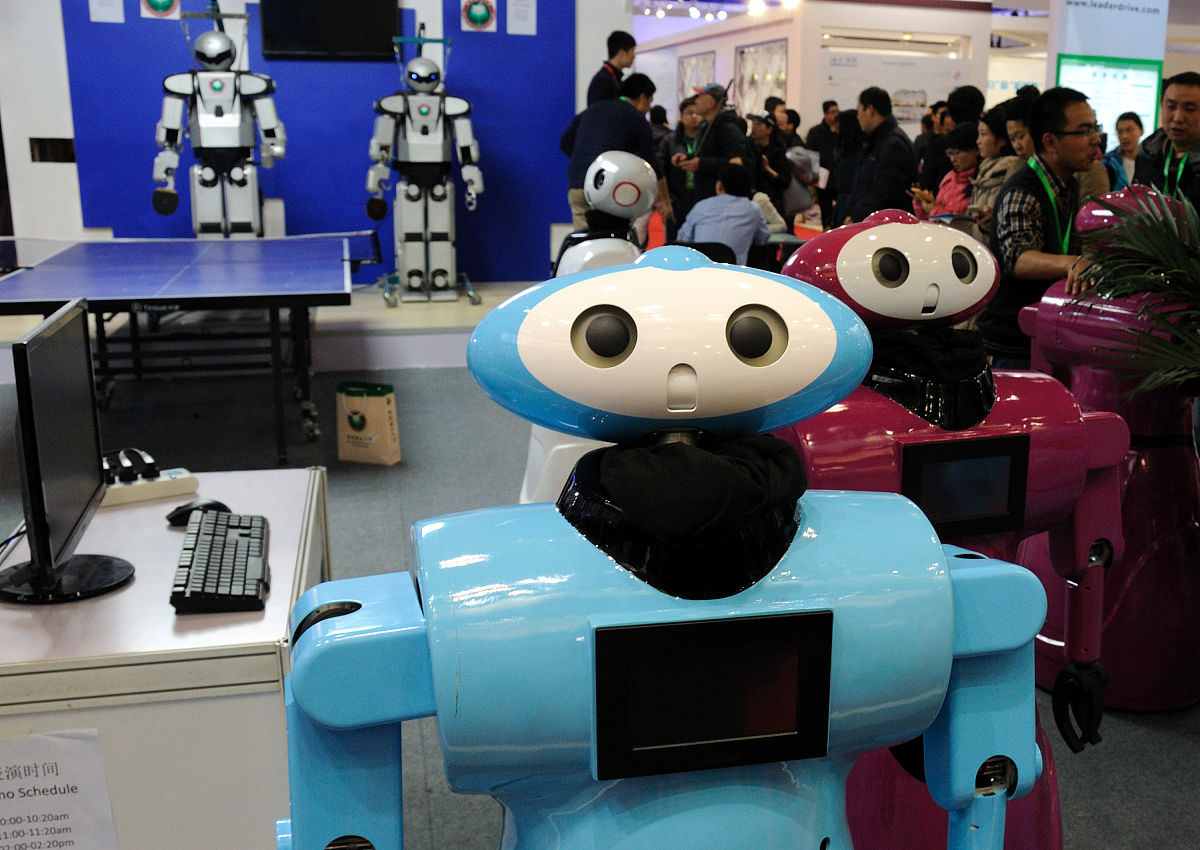 喵大人：傲娇布偶猫的社交媒体霸主