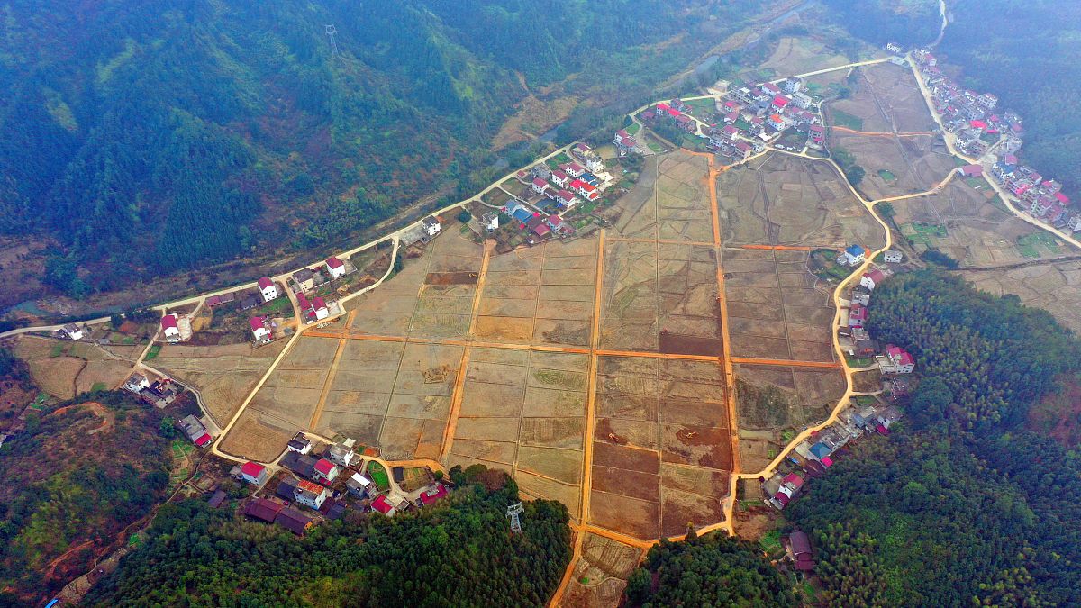 帮我出一份主题为浙江省农业标准地试点改革工作的试卷：选择20题 填空10题 论述5题包含参考答案