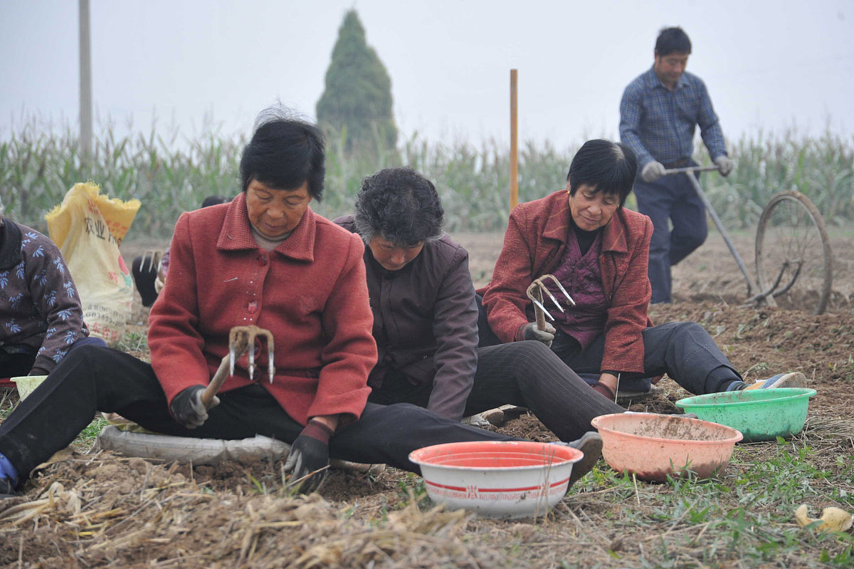 参加农户调研与农民访谈聊天理解农民之苦