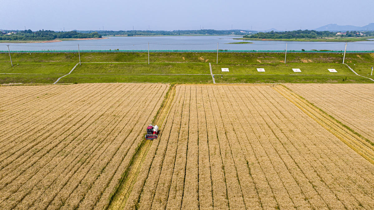 长江中下游地区主要农作物地膜使用指南