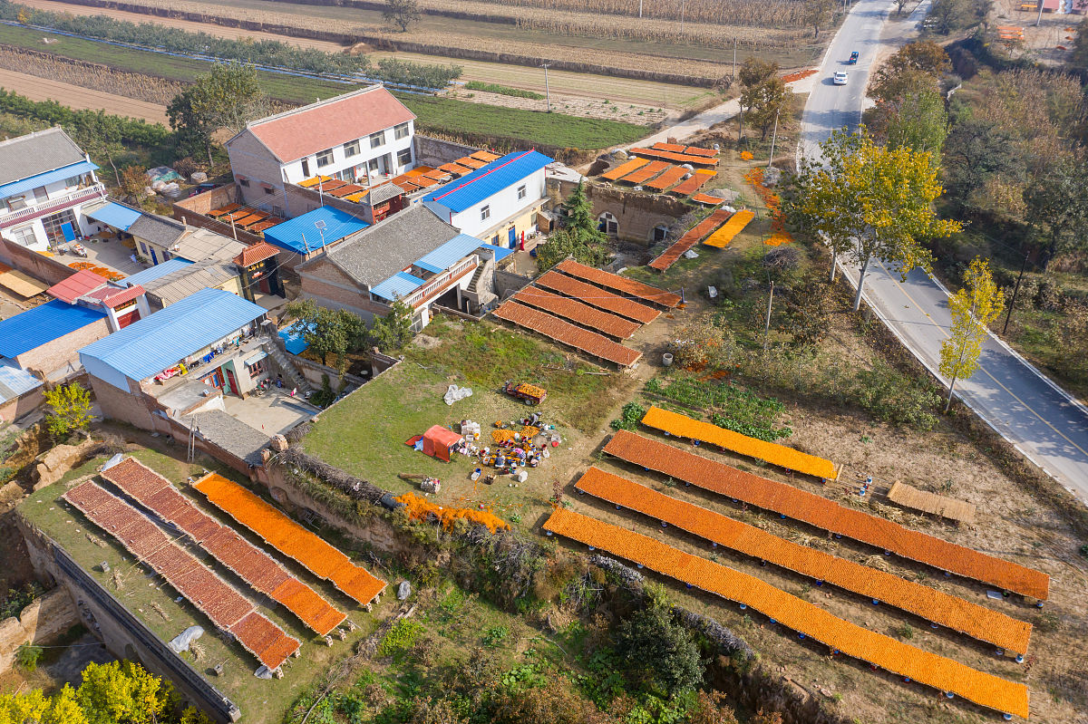 西安临潼山任村调研新闻推广稿