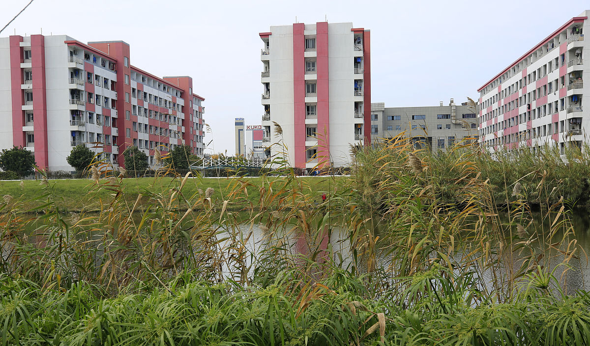 云南省曲靖农业学校网站网址好不好