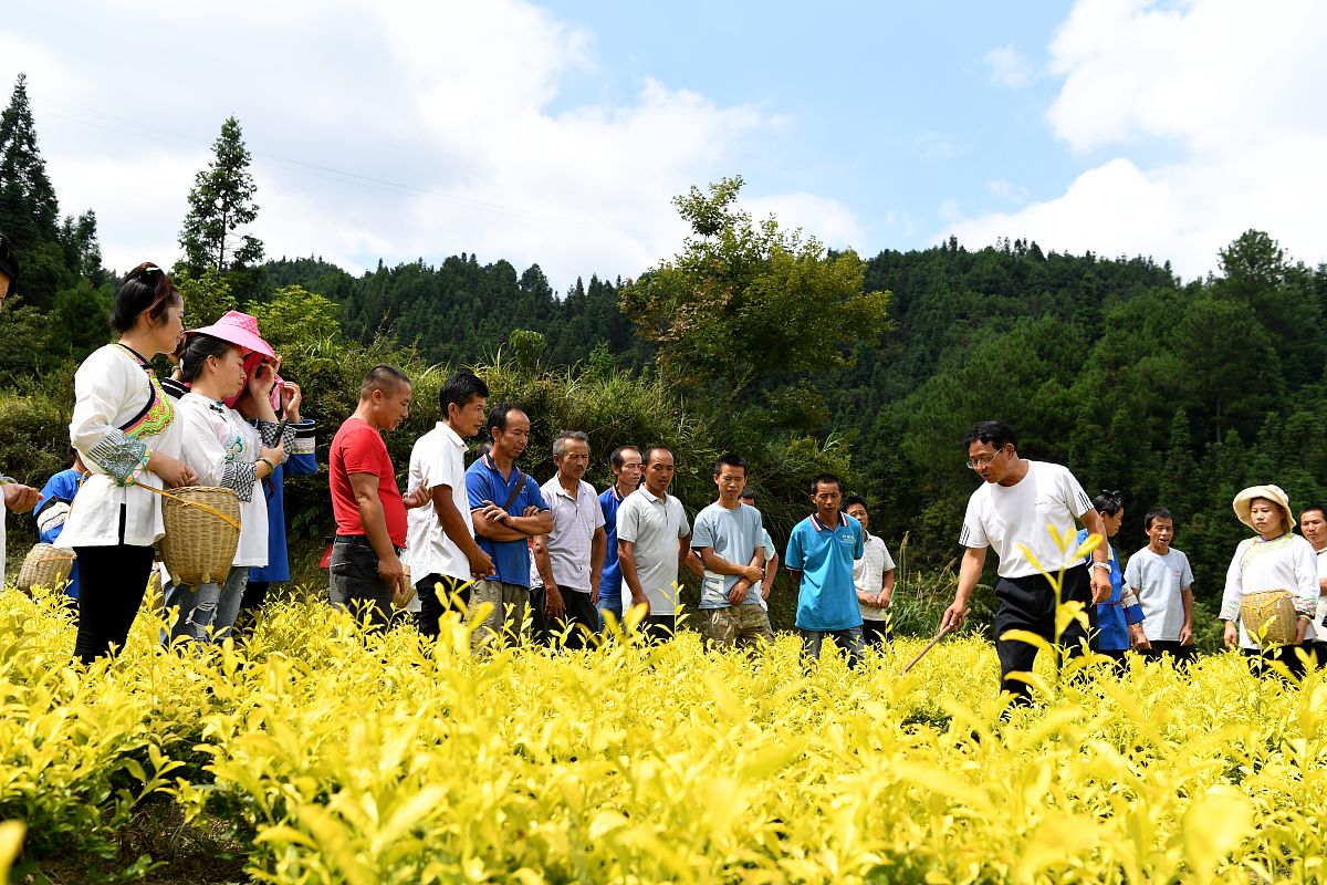 榕江县中等职业技术学校2019年招生简章