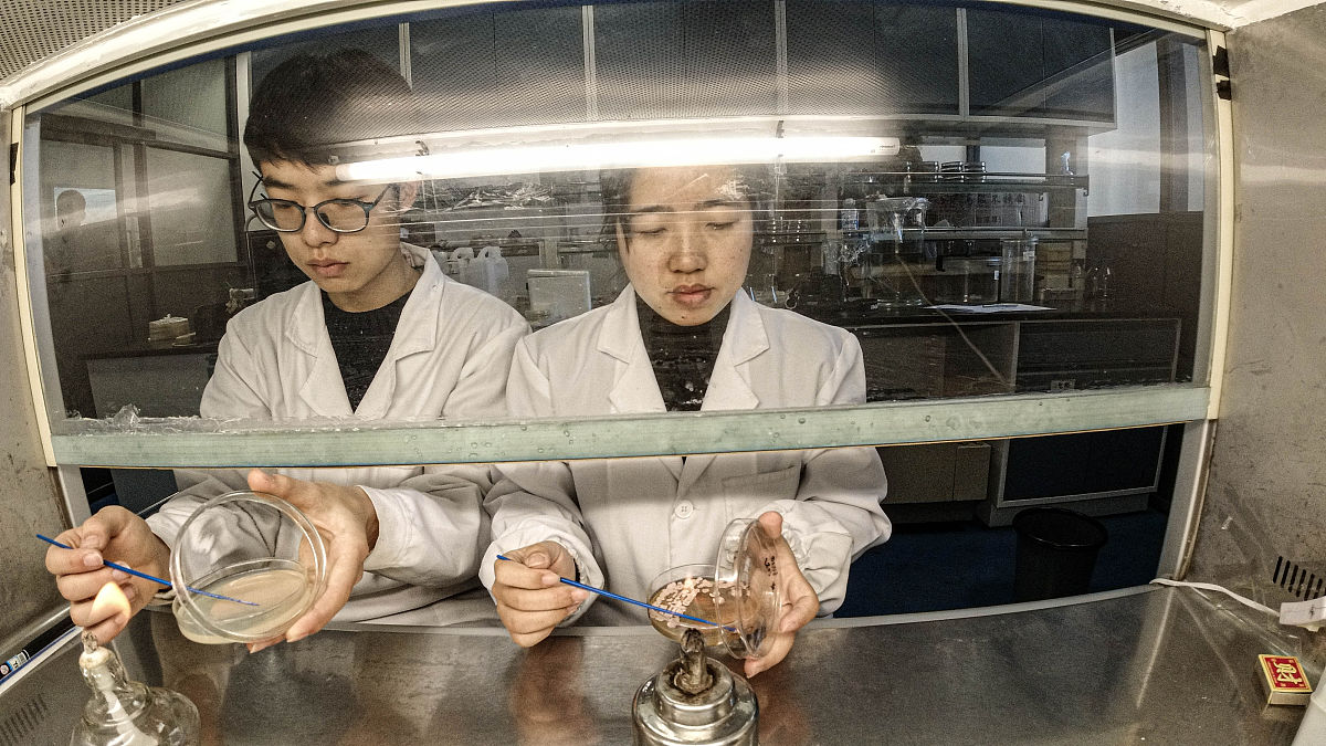 漳州卫生职业学院生物制药技术专业怎么样