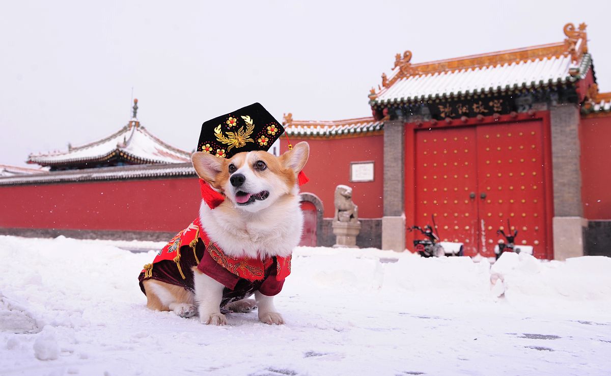 沈阳旅游攻略：必打卡景点、美食、购物全攻略