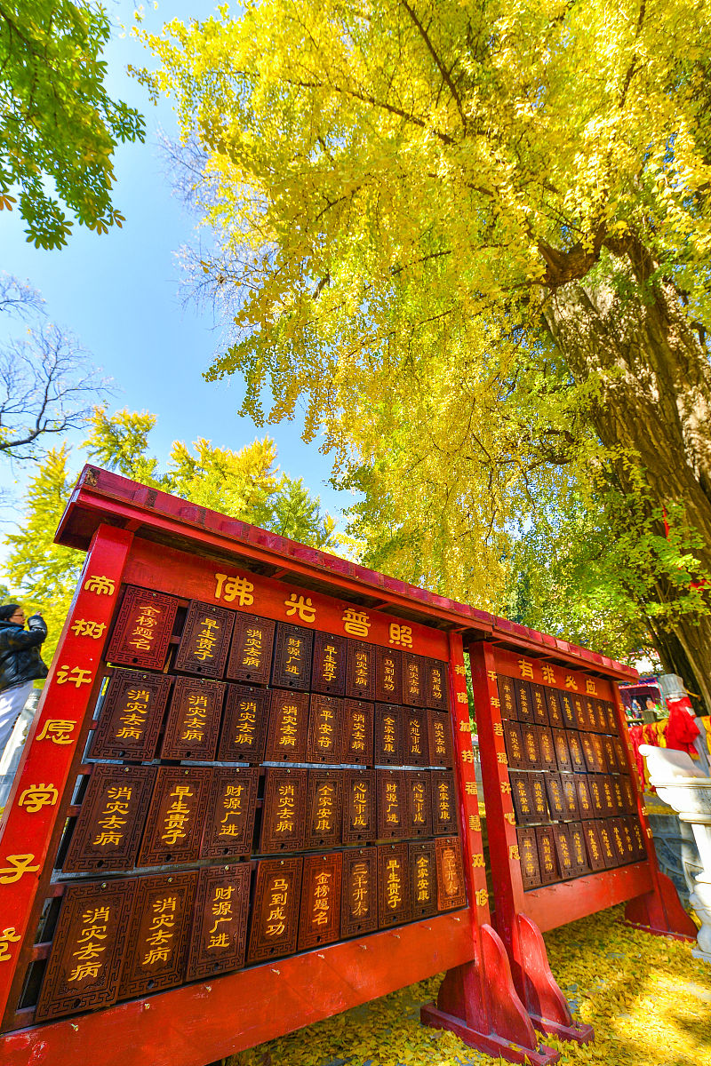 2020年11月4日,北京,位于门头沟区的潭柘寺是京城最古老的寺庙之一,始