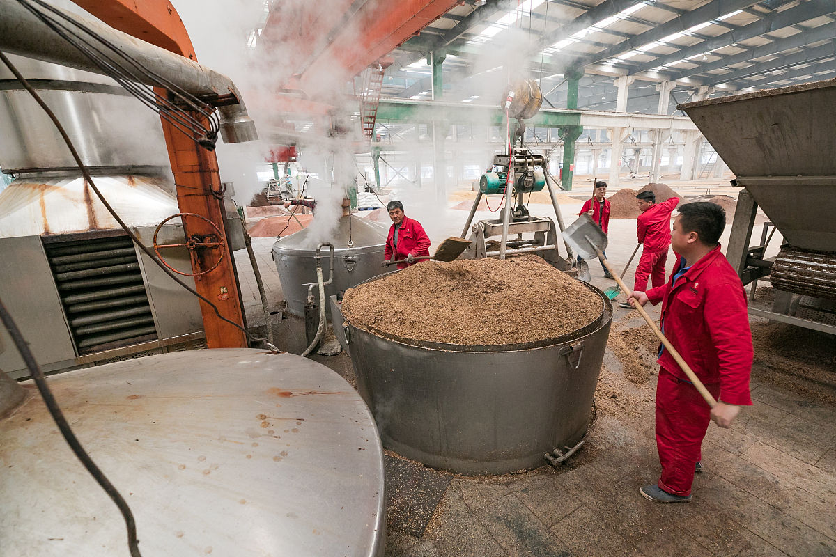 2023年酿酒工程专业就业方向及课程介绍