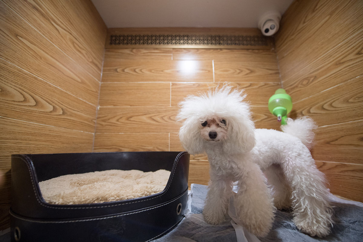 太原旅游职业学院酒店管理专业：课程设置及发展前景