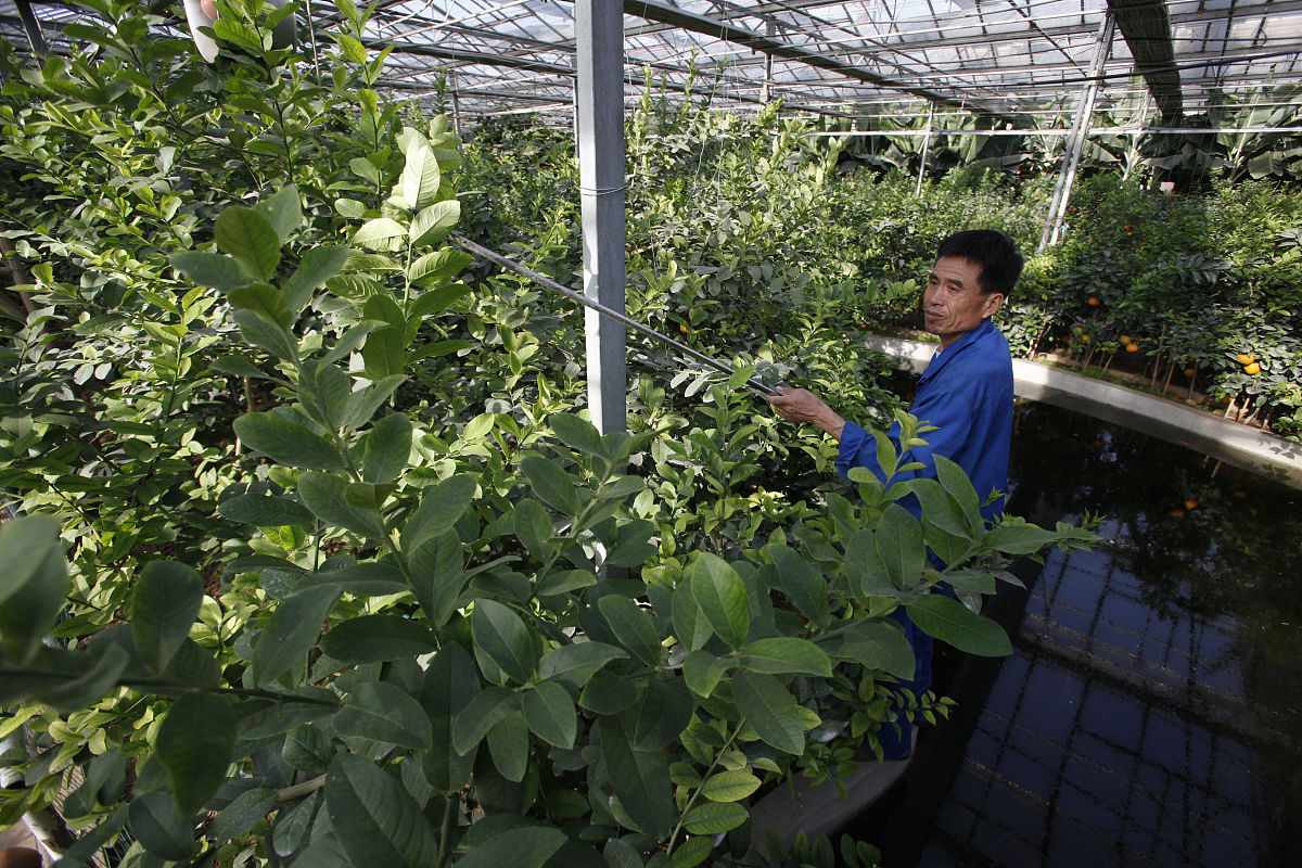 山东科技专修学院文秘专业怎么样？就业前景分析