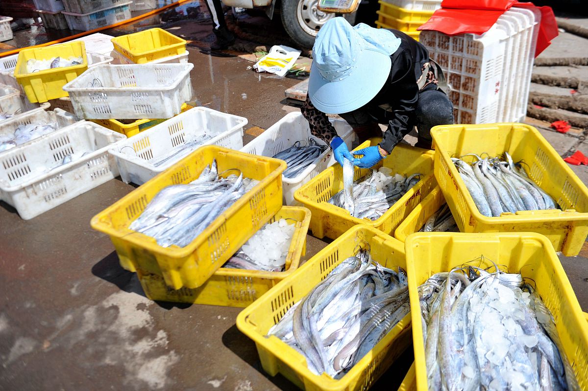 帮我写一个简短的标题要求要有爆点标题是关于水产保温箱的这个水产保温箱是用来冷藏、保鲜的此款保温箱主要是用于做水产加工的保温箱的特点就是环保、耐用、冷藏保鲜