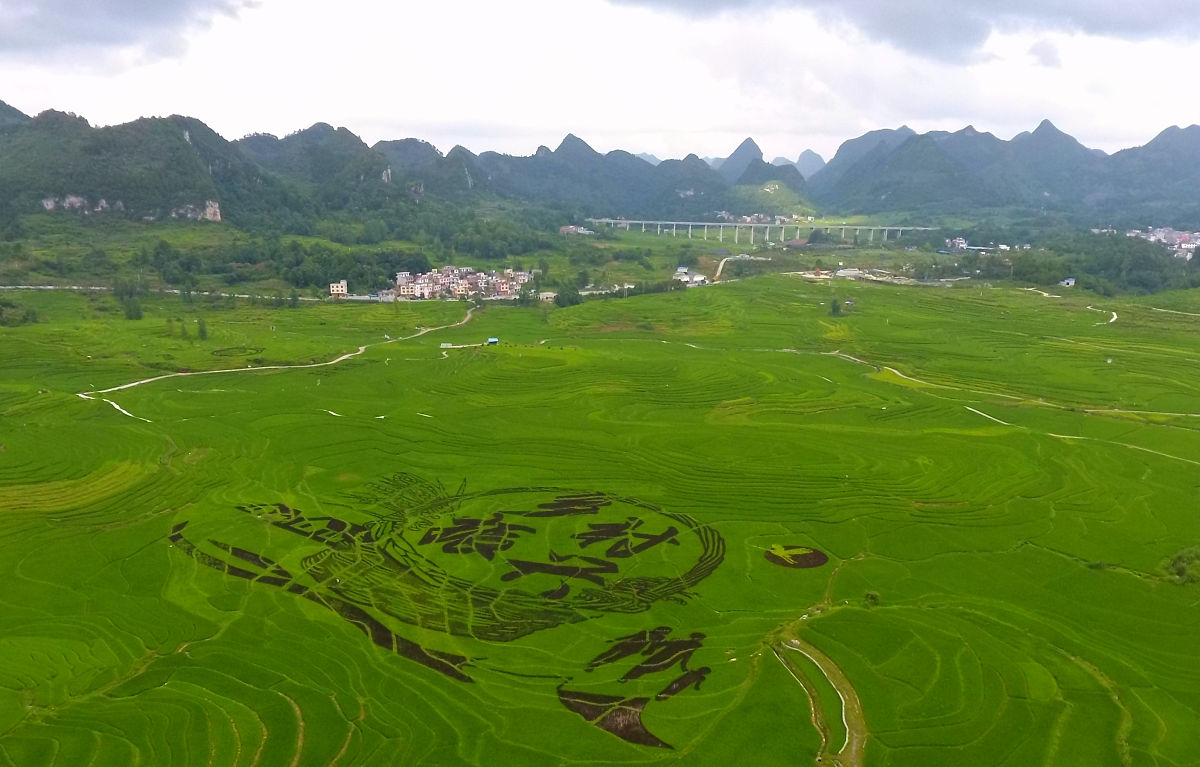 能帮我想50个关于乡村振兴企业的8字solgan吗示例：⼭的两边都是⽣活