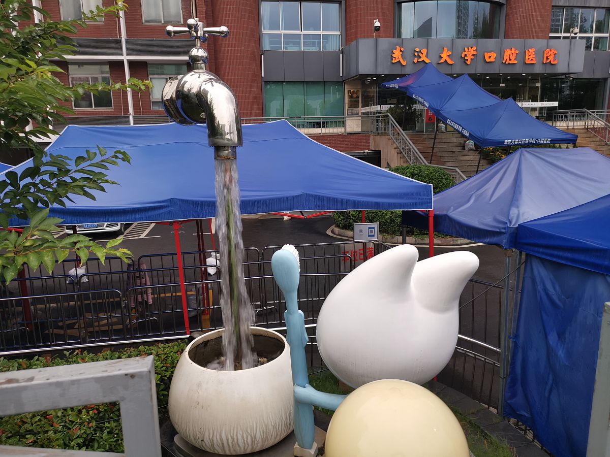 武汉大学口腔医学专业招生：就业前景广阔，值得选择