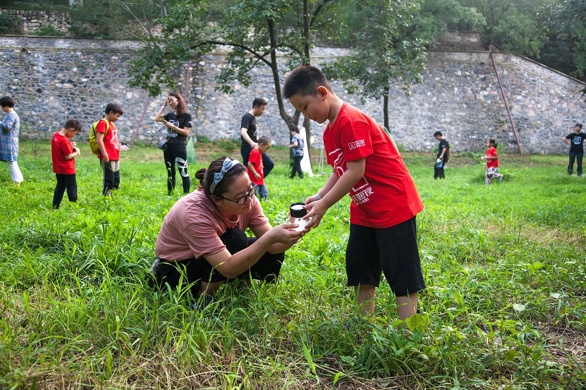 暑期三下乡社会实践项目：企业实习立项书