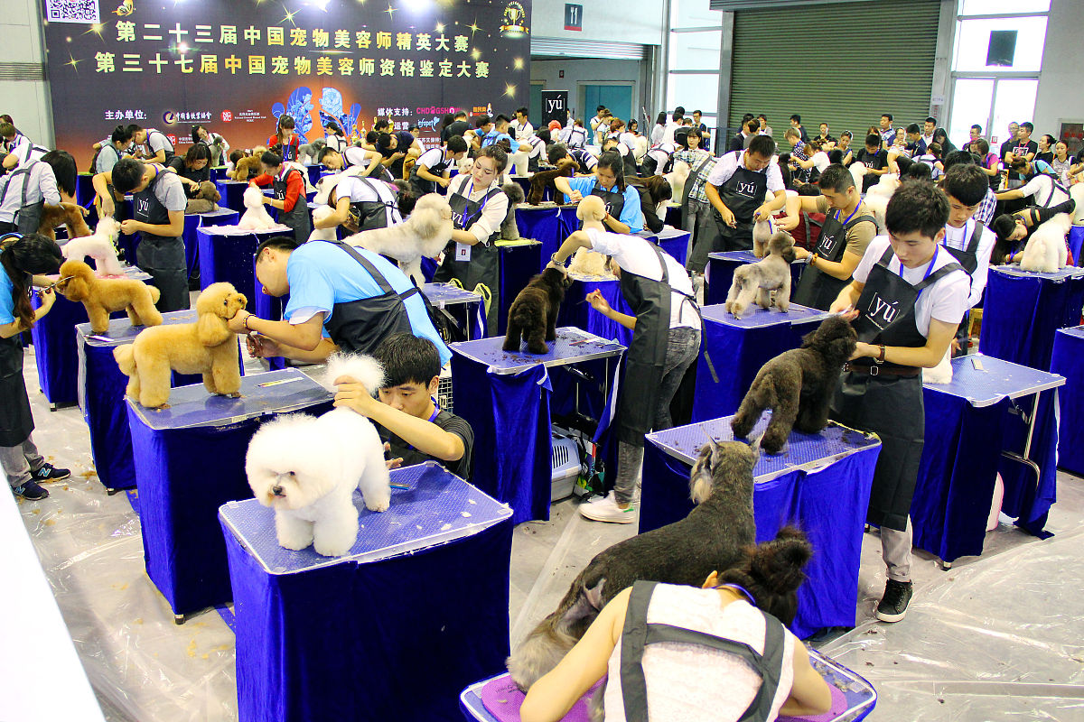 长春职业技术学院会展策划与管理专业怎么样