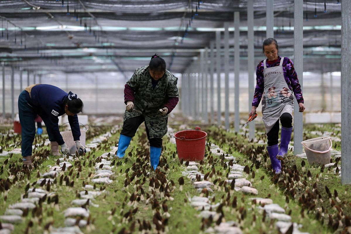 贵州农业机电学校机械加工技术专业就业前景分析