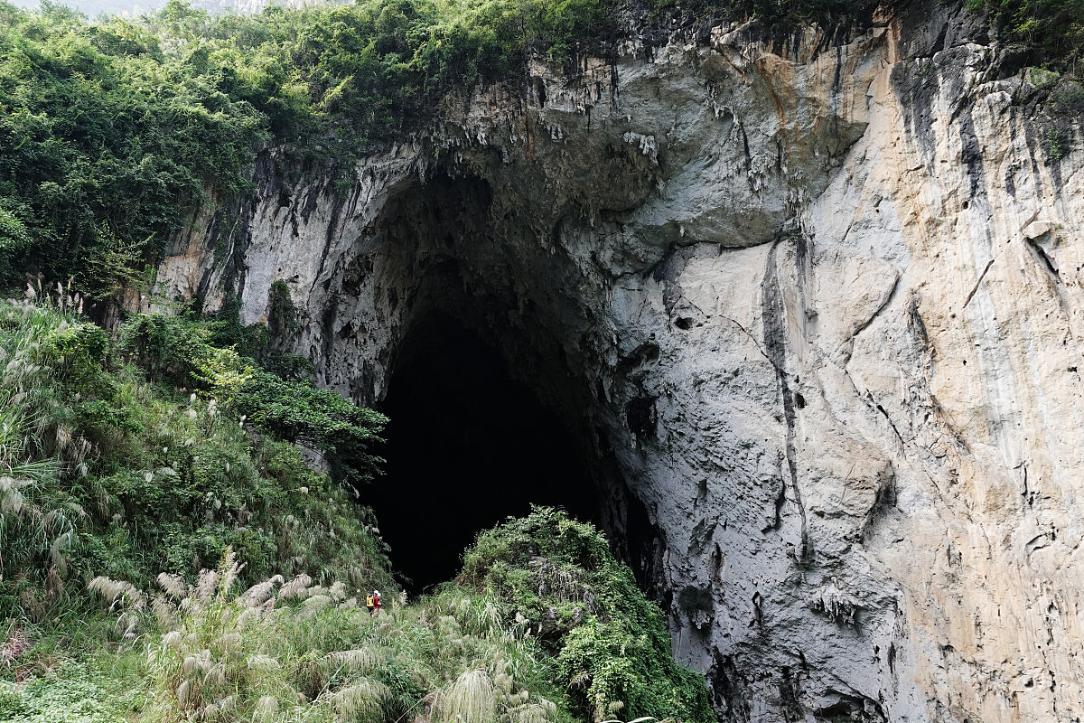 广西百色农业学校电子电器应用与维修专业前景好不好