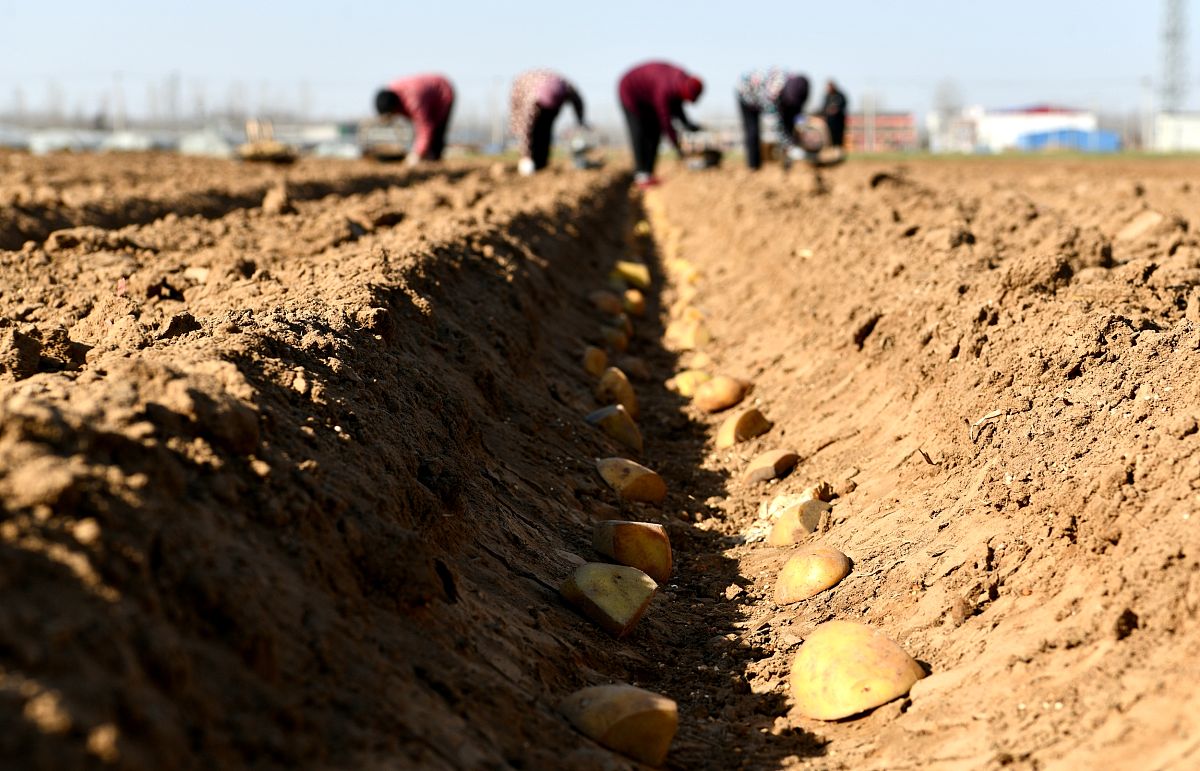 石家庄工业信息中等专业学校2022年招生简章