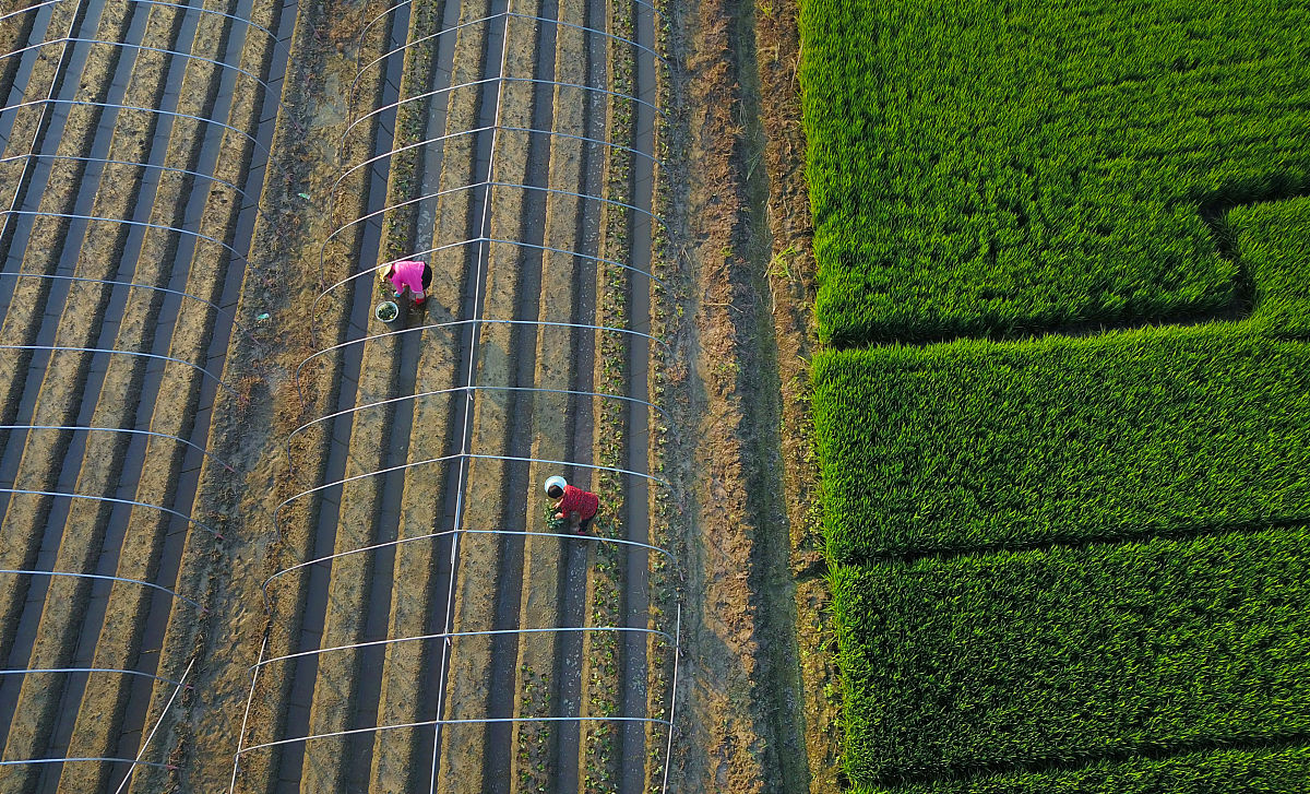 安徽科技学院设施农业科学与工程专业怎么样？ - 未来发展前景广阔