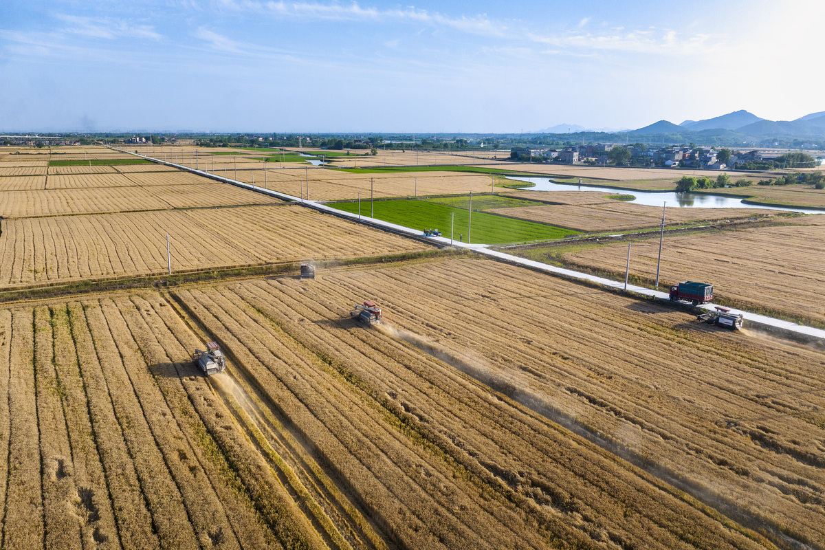 土地托管的市场有多大