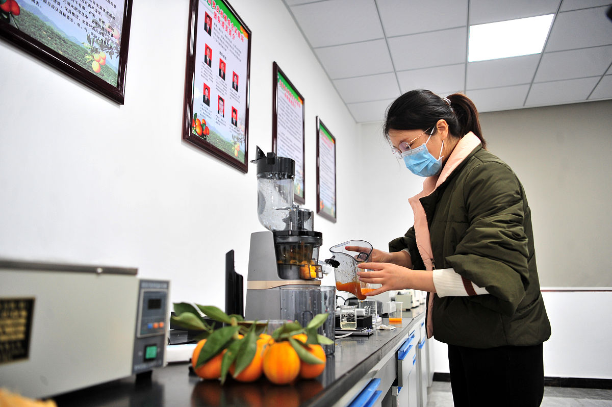 曲靖农业职业学校2019年五年制高职专科招生地址 - 培养农业人才，推动农业发展