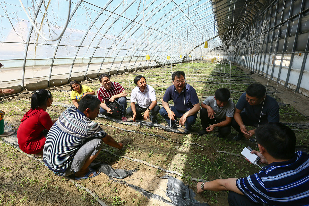 内蒙古农业大学园艺技术专业：农业科技的未来之路