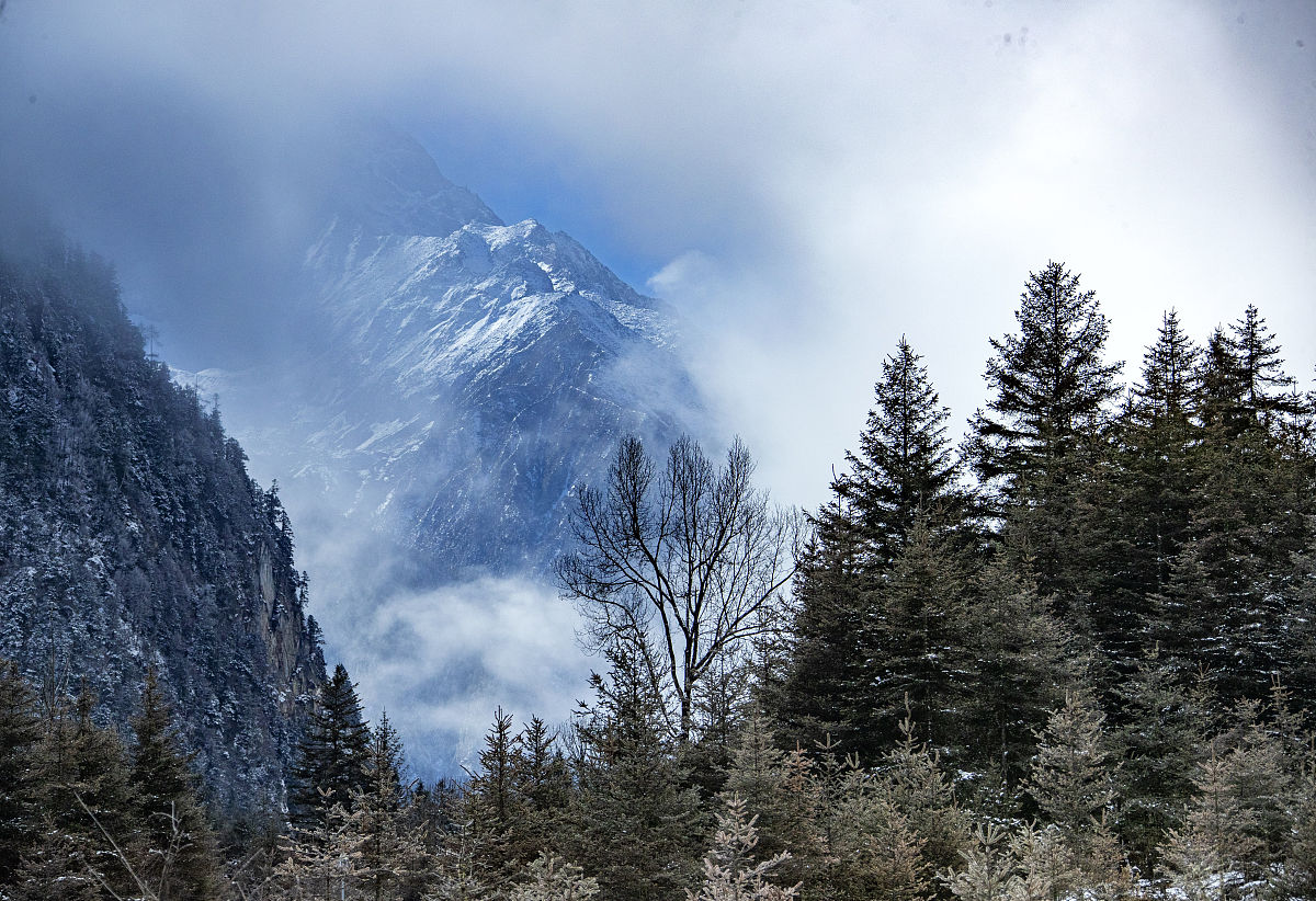 四川省优秀中专学校推荐 | 2022年值得关注的学校