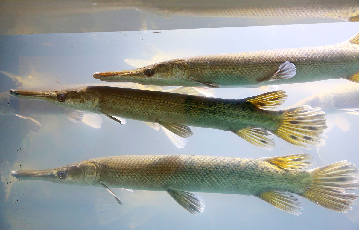 宣城市生物工程学校高考成绩：近年表现突出，升学率高